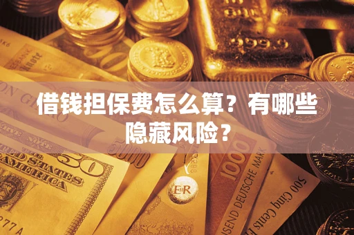 武汉借钱担保费怎么算？有哪些隐藏风险？