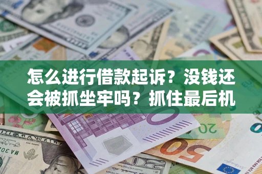 武汉怎么进行借款起诉？没钱还会被抓坐牢吗？抓住最后机会！