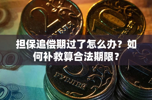 武汉担保追偿期过了怎么办？如何补救算合法期限？