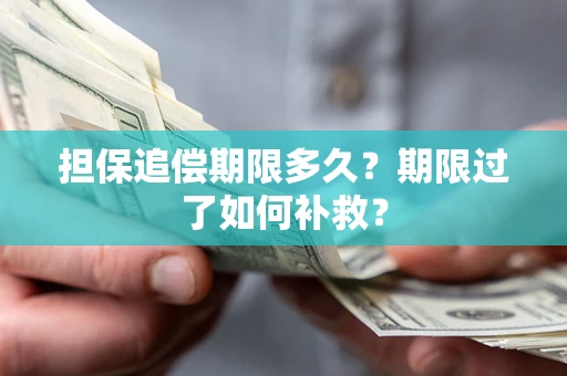 武汉担保追偿期限多久？期限过了如何补救？