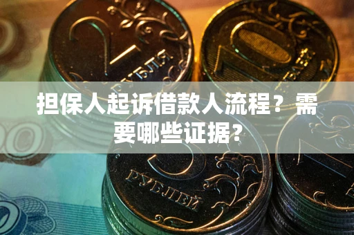 武汉担保人起诉借款人流程？需要哪些证据？