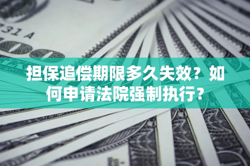 武汉担保追偿期限多久失效？如何申请法院强制执行？