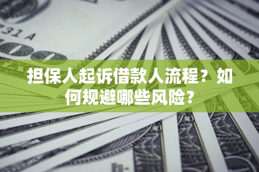 武汉担保人起诉借款人流程？如何规避哪些风险？
