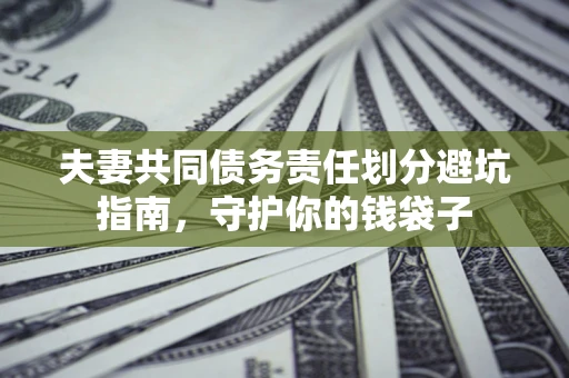 武汉夫妻共同债务责任划分避坑指南，守护你的钱袋子