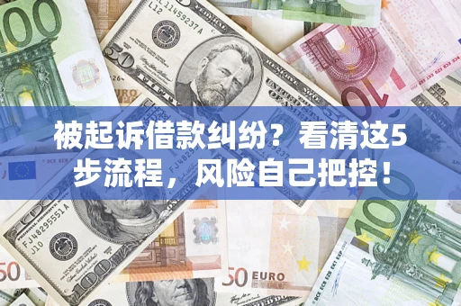 武汉被起诉借款纠纷？看清这5步流程，风险自己把控！