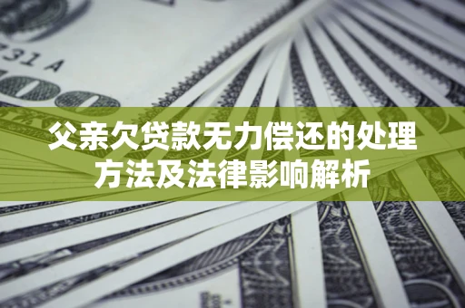 武汉父亲欠贷款无力偿还的处理方法及法律影响解析