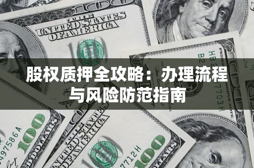 武汉股权质押全攻略：办理流程与风险防范指南