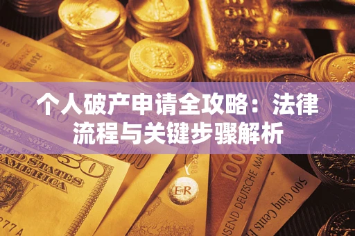 武汉个人破产申请全攻略：法律流程与关键步骤解析